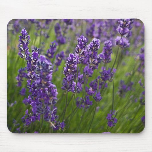 Lavendel | Lavendel Mousepad (Vorne)