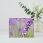 Lavendel | Lavendel Postkarte (Stehend Vorderseite)