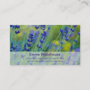 Lavendel   Lavendel Visitenkarte