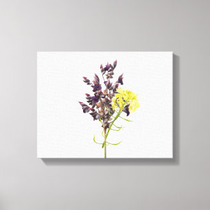 Lavendel Leinwanddruck