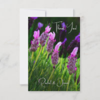 Lavendel, Liebe & Hingabe, Hochzeit