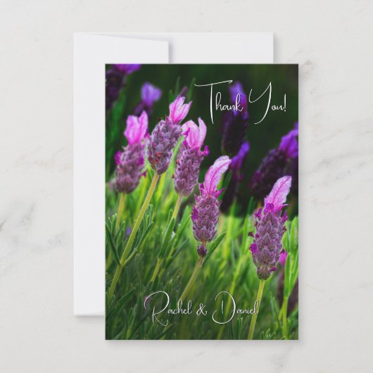 Lavendel, Liebe & Hingabe, Hochzeit Dankeskarte (Vorderseite)