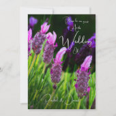 Lavendel, Liebe & Hingabe, Hochzeit Einladung (Vorderseite)