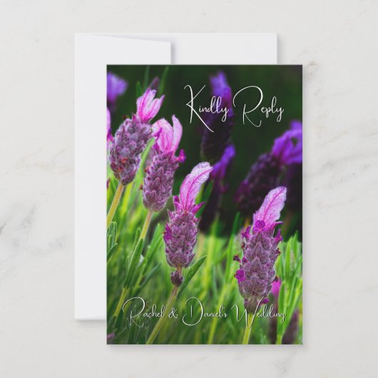 Lavendel, Liebe & Hingabe, Hochzeit, UAWG Dankeskarte (Vorderseite)