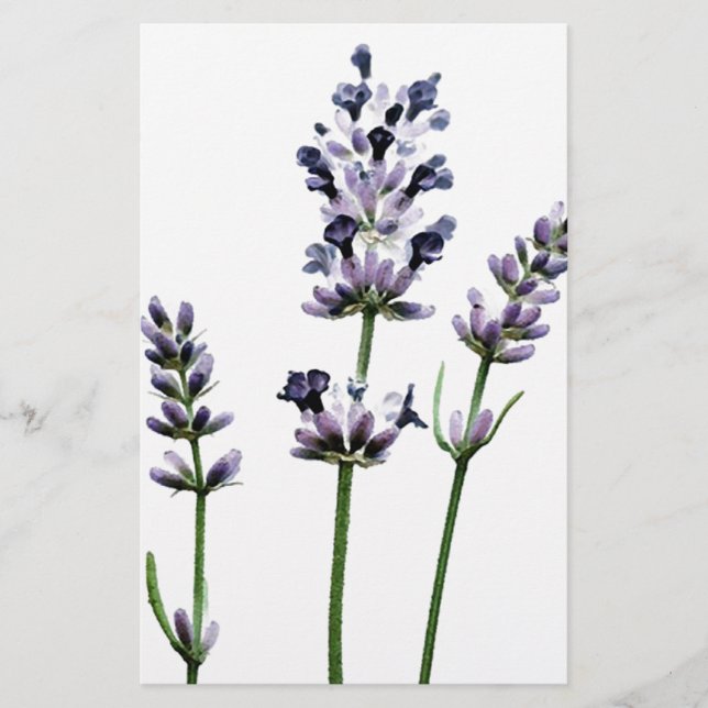 Lavendel | Lila Blume Pastell (Vorderseite)