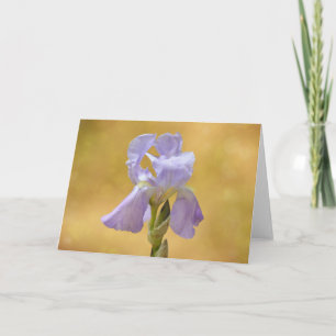 Lavendel Lila Iris Blume Art Karte