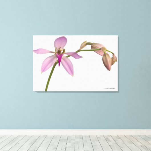 Lavendel Lila Orchid Leinwanddruck (Insitu (Holzboden))