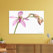 Lavendel Lila Orchid Leinwanddruck (Insitu (Wohnzimmer))