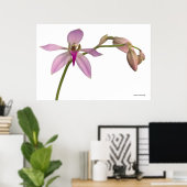 Lavendel Lila Orchid Poster (Heimbüro)