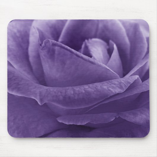 Lavendel Lila Rose Makro Blume Mousepad (Vorne)