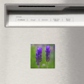 Lavendel Magnet (In Situ (Geschirrspüler))