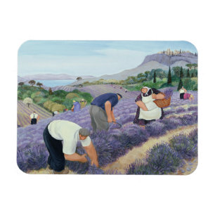 Lavendel Magnet