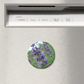 Lavendel Magnet (In Situ (Geschirrspüler))