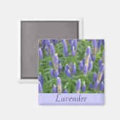 Lavendel Magnet (Vorderseite/Rückseite)