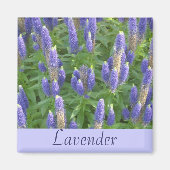 Lavendel Magnet (Vorne)