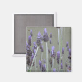 Lavendel Magnet (Vorderseite/Rückseite)