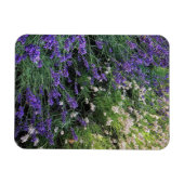 Lavendel Magnet (Horizontal)