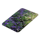 Lavendel Magnet (Linke Seite)