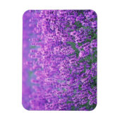 Lavendel Magnet (Vertikal)