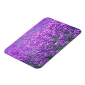 Lavendel Magnet (Linke Seite)