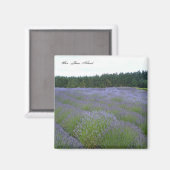 Lavendel Magnet (Vorderseite/Rückseite)