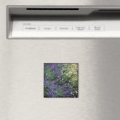 Lavendel Magnet (In Situ (Geschirrspüler))