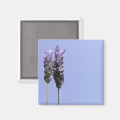 Lavendel Magnet (Vorderseite/Rückseite)