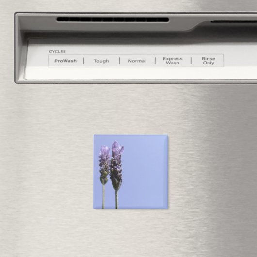 Lavendel Magnet (In Situ (Geschirrspüler))
