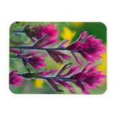 Lavendel-Malerpinsel Magnet (Horizontal)