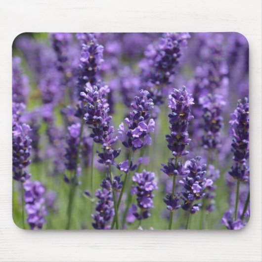 Lavendel-Mauspad Mousepad (Vorne)