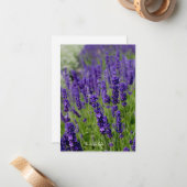 Lavendel Mitteilungskarte (Vorderseite/Rückseite Beispiel)