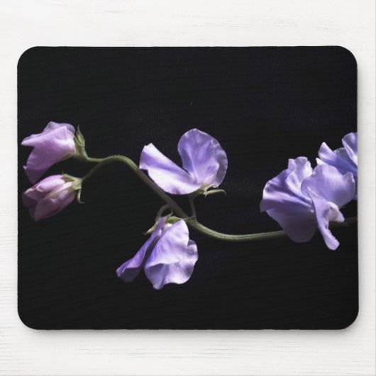 Lavendel Mousepad (Vorne)