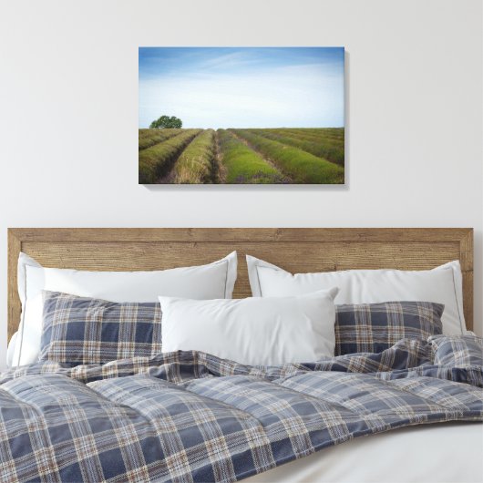 Lavendel nach Leinwand der Ernte (Insitu (Schlafzimmer))