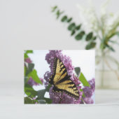 Lavendel Nachmittag Postkarte (Stehend Vorderseite)