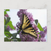 Lavendel Nachmittag Postkarte (Vorderseite)