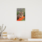 Lavendel, Nasturtium und eine Tortoiseshell Katze Poster (Küche)