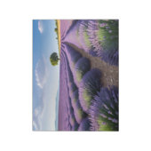 Lavendel Natur Außenwelt Landschaft Ruhe Friedlich Notizblock (Rotiert)