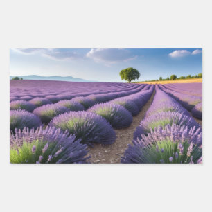 Lavendel Natur Außenwelt Landschaft Ruhe Friedlich Rechteckiger Aufkleber