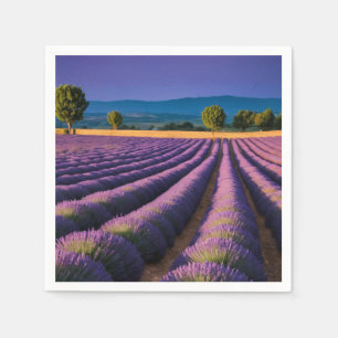 Lavendel Natur Außenwelt Landschaft Ruhe Friedlich Serviette