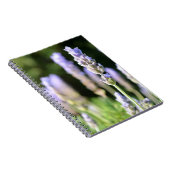 Lavendel-Notizbuch Notizblock (Rechte Seite)