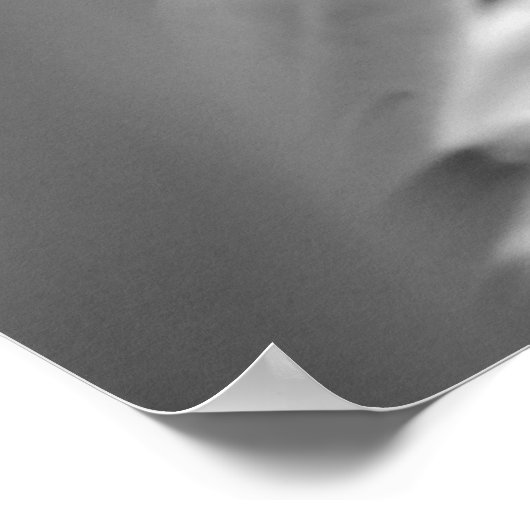 Lavendel-Orchideen Poster (Ecke)