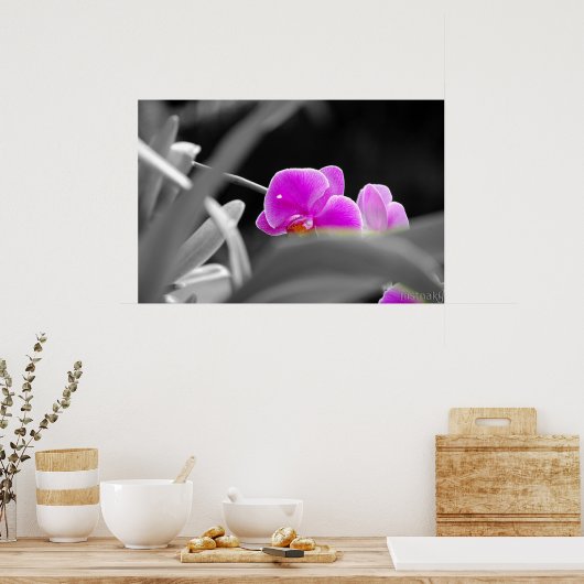 Lavendel-Orchideen Poster (Küche)