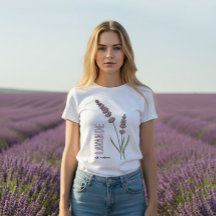 Lavendel Osten. Natur