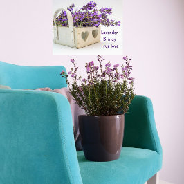 Lavendel Park/Garten: Ein perfektes Wochenende in Poster