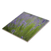 Lavendel-Pflanze 2 Fliese (Seite)
