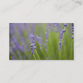 Lavendel-Pflanze 2 Visitenkarte (Rückseite)