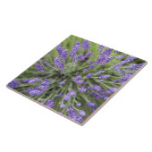 Lavendel-Pflanze Fliese (Seite)