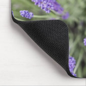 Lavendel-Pflanze Mousepad (Ecke)