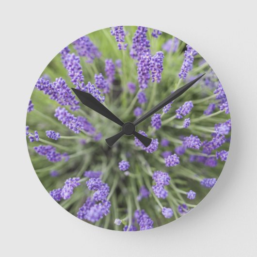 Lavendel-Pflanze Runde Wanduhr (Vorderseite)