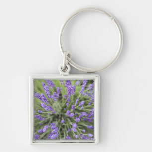 Lavendel-Pflanze Schlüsselanhänger